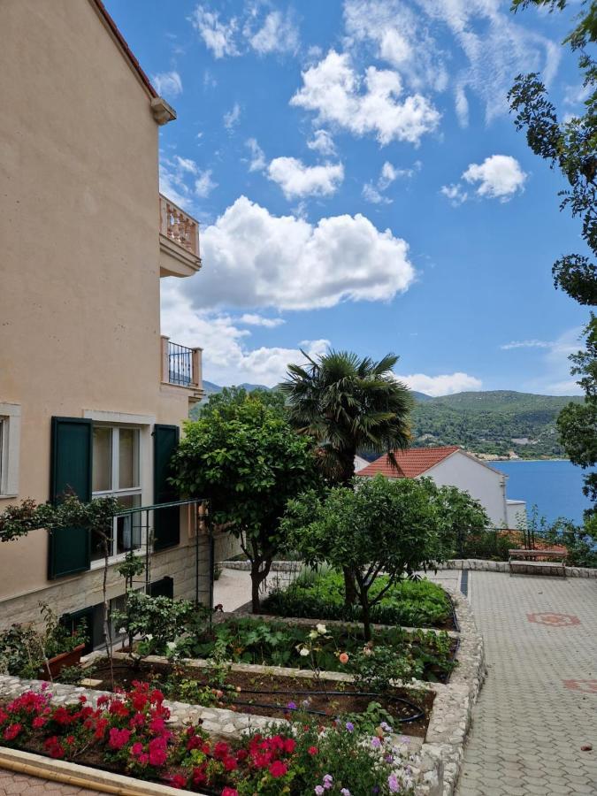 Villa Lukic Apartments Slano Exterior foto