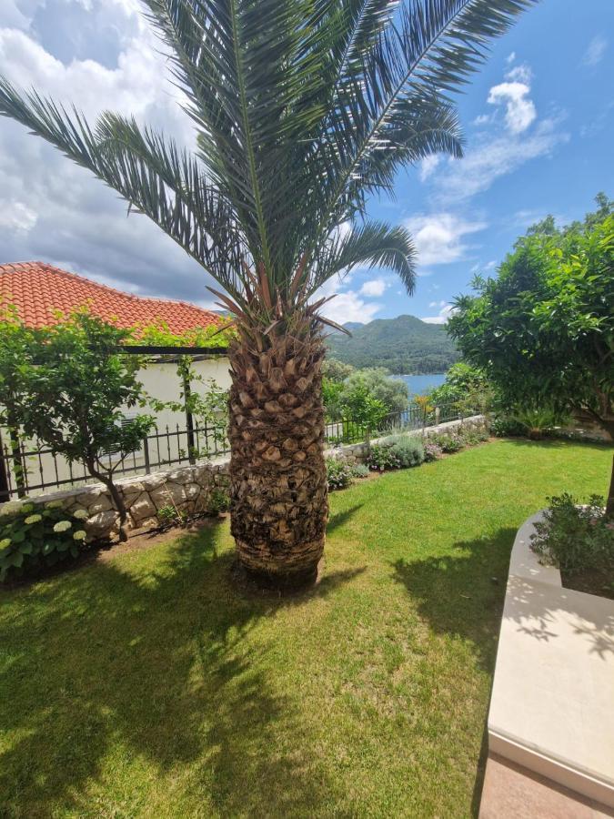 Villa Lukic Apartments Slano Exterior foto